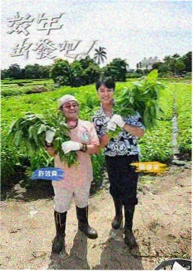 国漫崛起-在线免费看动漫
